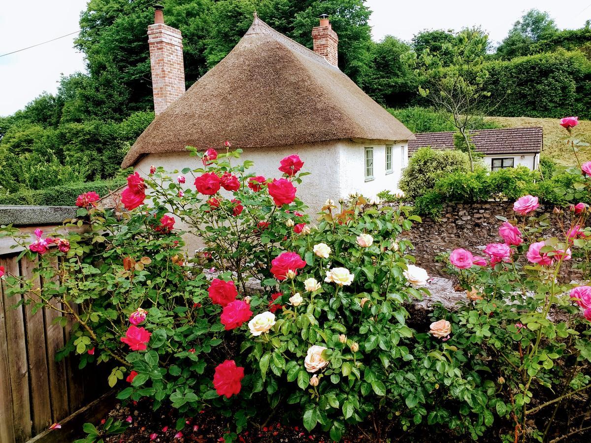 مبيت وإفطار هونيتون Rose Farm المظهر الخارجي الصورة